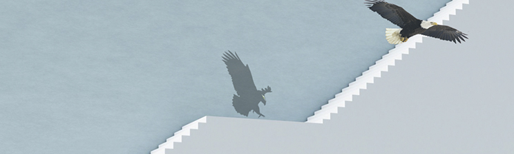 太阳城官网(中国集团)有限公司